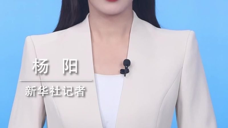 金融数据治理：构建稳健的数据管理框架